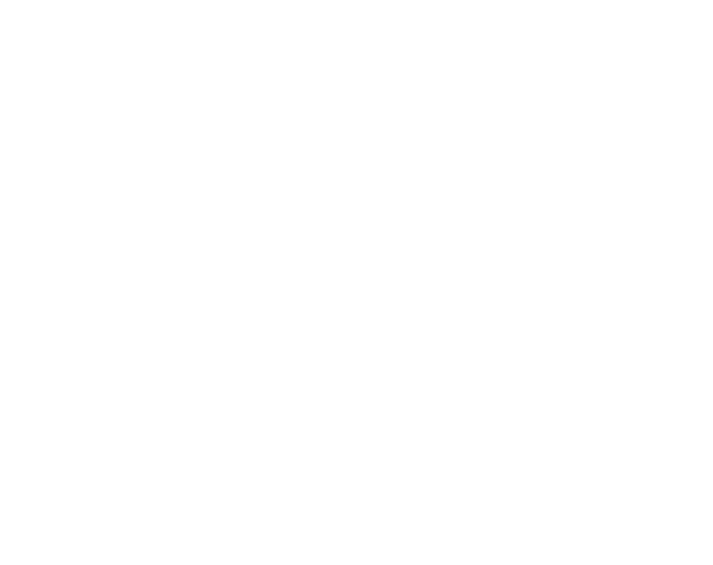 IDM Trucking Inc.